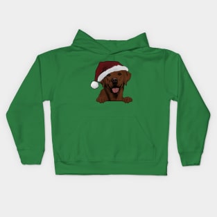 Merry Christmas Fox Red Lab Kids Hoodie